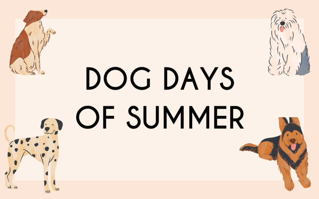 Dog Days of Summer Kicks Off on July 3rd!